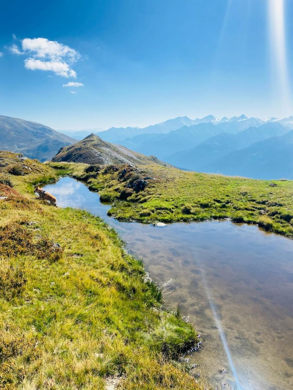 Appartement Mountain & Fun Saalbach-Hinterglemm Eksteriør bilde